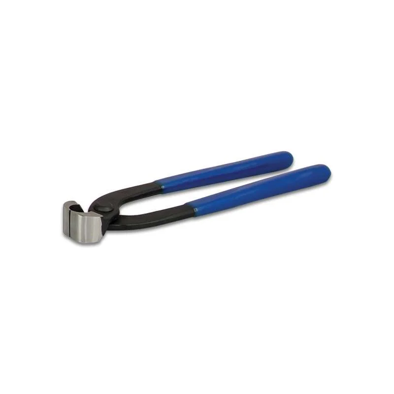 torqen2-948065